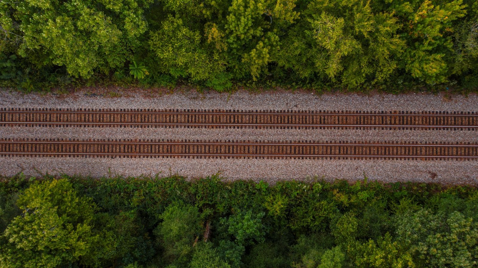 Luchtfoto van twee spoorlijnen tussen groene bomen.